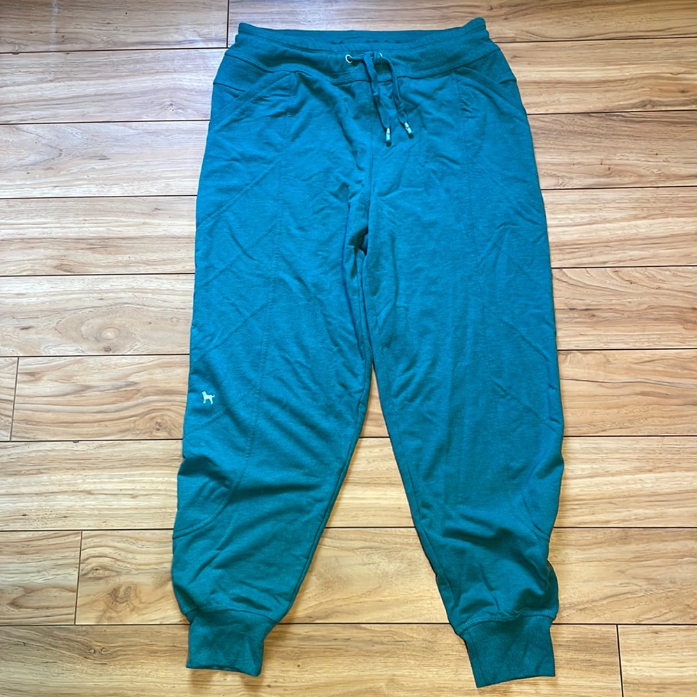 NWOT.  The Black Dog jogger